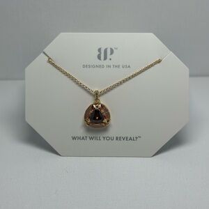 BP Gold and Dark Brown Necklace